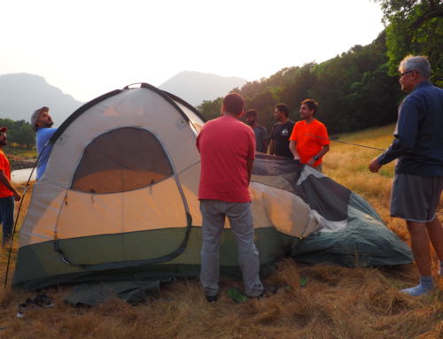 Survival Skills Adventure