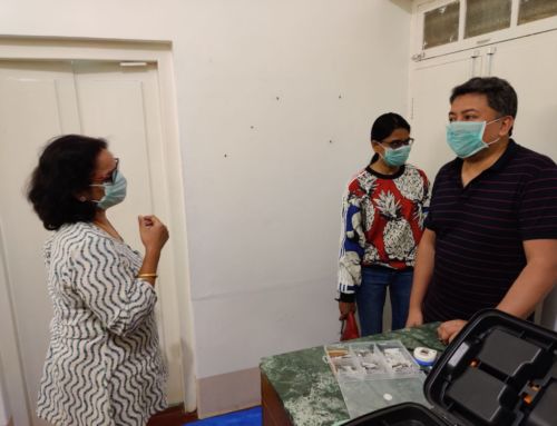 Working Together to beautify spaces.