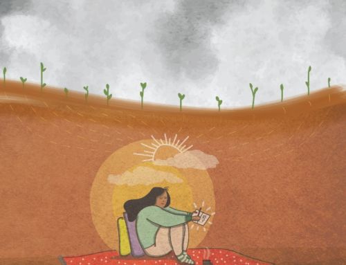 ACROPOLIS Winter edition 2020