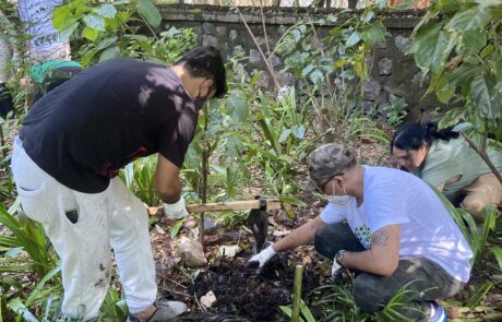 Composting activity at Shantivan