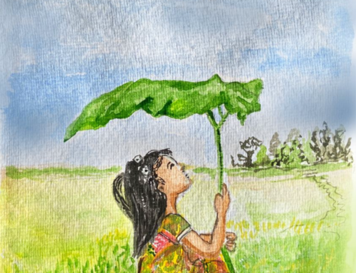 ACROPOLIS Autumn edition 2021