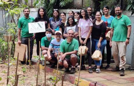 Sapling Plantation 19