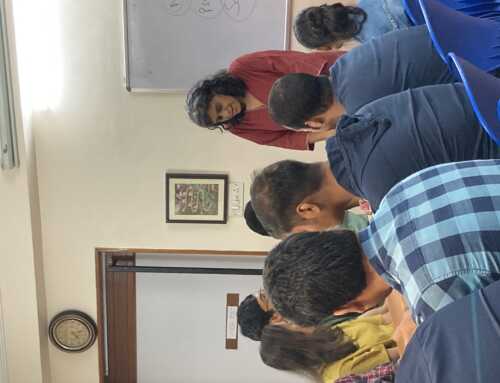 Being in the Present Moment: Lessons from Origami