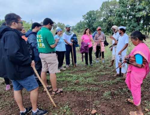 A Guided Forest Walk in the Sahyadri Foothills
