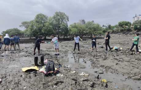 mangrove planting10