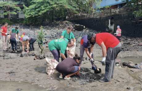 mangrove planting7