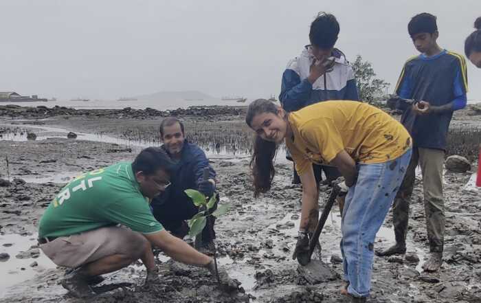 mangrove planting8